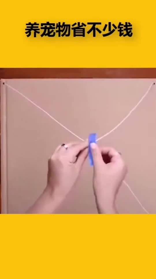 拿衣架給寵物改裝帳篷,學會了這招之后,養寵物省下不少錢